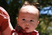 baby2007/2008-07_nolan/IMG_1796_800.jpg