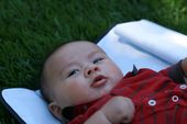 baby2007/2008-07_nolan/IMG_1805_800.jpg