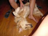 dog/early/DSC02883.JPG