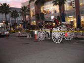 Carriage ride