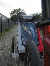 Tulia and Scout Riding to the park