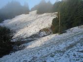 mtb/2006-03-13_snow_ride/IMG_5265_800.jpg