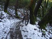 mtb/2006-03-13_snow_ride/IMG_5272_800.jpg
