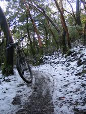 mtb/2006-03-13_snow_ride/IMG_5273_800.jpg