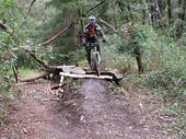 mtb/2006-04-07_UCSC/IMG_0128_800.jpg