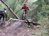 mtb/2006-04-07_UCSC/IMG_0131_800.jpg