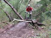 mtb/2006-04-07_UCSC/IMG_0133_800.jpg