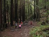 mtb/2006-04-07_UCSC/IMG_0136_800.jpg