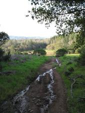 mtb/2006-04-20_Annadel/IMG_0159_800.jpg