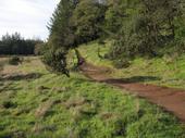 mtb/2006-04-20_Annadel/STD_0180_800.jpg