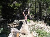 mtb/2007-07-17_downieville/IMG_4464_800.jpg