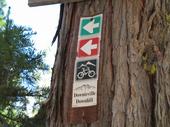 Downieville