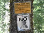 mtb/2007-07-17_downieville/IMG_4480_800.jpg