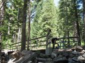 mtb/2007-07-17_downieville/IMG_4481_800.jpg