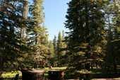 Tulia on the Tahoe Flume trail