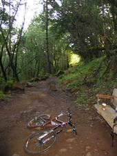 mtb/cool/IMG_2839_800.jpg