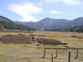trips/2003-10-18_caples_lake/DSC03077.JPG