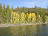 trips/2003-10-18_caples_lake/DSC03081.JPG