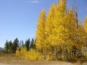 trips/2003-10-18_caples_lake/DSC03093.JPG