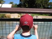 trips/2006-06-18_Oakland_zoo/IMG_0783_800.jpg