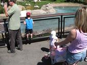 trips/2006-06-18_Oakland_zoo/IMG_0785_800.jpg