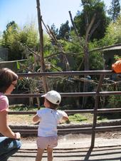 trips/2006-06-18_Oakland_zoo/IMG_0791_800.jpg