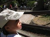 trips/2006-06-18_Oakland_zoo/IMG_0793_800.jpg