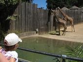 trips/2006-06-18_Oakland_zoo/IMG_0811_800.jpg
