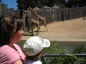 trips/2006-06-18_Oakland_zoo/IMG_0812_800.jpg