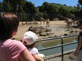 trips/2006-06-18_Oakland_zoo/IMG_0813_800.jpg