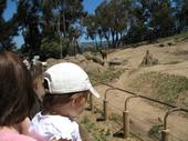 trips/2006-06-18_Oakland_zoo/IMG_0835_800.jpg