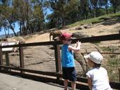 trips/2006-06-18_Oakland_zoo/IMG_0838_800.jpg