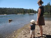 trips/2006-07-11_Lake_Alpine_camping/IMG_0960_800.jpg