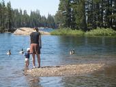 trips/2006-07-11_Lake_Alpine_camping/IMG_0972_800.jpg