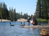 trips/2006-07-11_Lake_Alpine_camping/IMG_0978_800.jpg