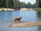 trips/2006-07-11_Lake_Alpine_camping/IMG_0988_800.jpg