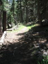 trips/2006-07-11_Lake_Alpine_camping/IMG_1019_800.jpg