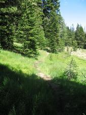 trips/2006-07-11_Lake_Alpine_camping/IMG_1023_800.jpg
