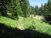 trips/2006-07-11_Lake_Alpine_camping/IMG_1025_800.jpg