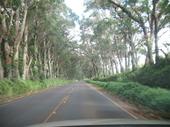 trips/2006-11-15_kuaui/IMG_2380_800.jpg