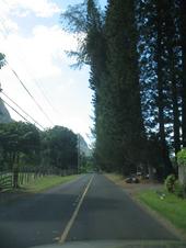 trips/2006-11-15_kuaui/IMG_2420_800.jpg