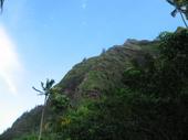trips/2006-11-15_kuaui/IMG_2530_800.jpg