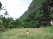 trips/2006-11-15_kuaui/IMG_2556_800.jpg