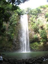 trips/2006-11-15_kuaui/IMG_2662_800.jpg
