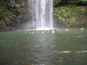 trips/2006-11-15_kuaui/IMG_2665_800.jpg