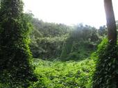 trips/2006-11-15_kuaui/IMG_2672_800.jpg