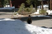 trips/2007-03-09_Tahoe/IMG_0523_800.jpg