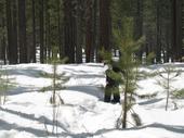 trips/2007-03-09_Tahoe/IMG_3197_800.jpg