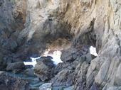 trips/2007-03-22_big_sur/IMG_3300_800.jpg