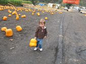 trips/2007-10-15_hmb_pumpkins/IMG_5537_800.jpg